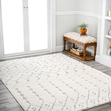 Pia Moroccan Trellis Plush Carved Area Rug